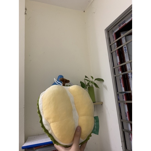 GẤU BÔNG SẦU RIÊNG SIZE 20cm MINI CÓ KÈM ẢNH THẬT 100% cao cấp