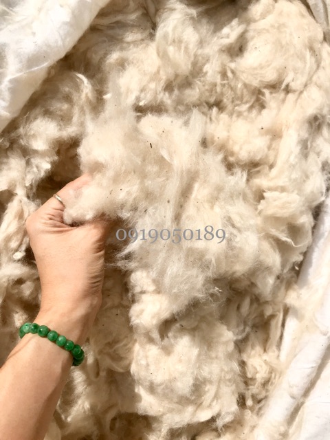 Gối đôi dài BÔNG GẠO tự nhiên/ vỏ gối cotton Hàn Quốc