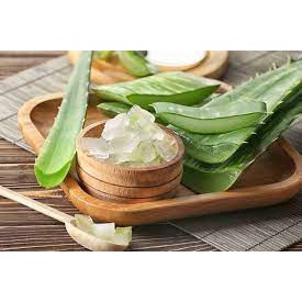 Cây Nha Đam Bẹ To khỏe đẹp