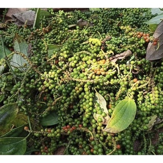100g Tiêu Đên Chuẩn DAKLAK