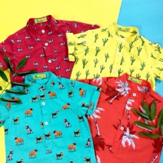 Sơ mi bé trai phong cách Hawaii sz 1-8