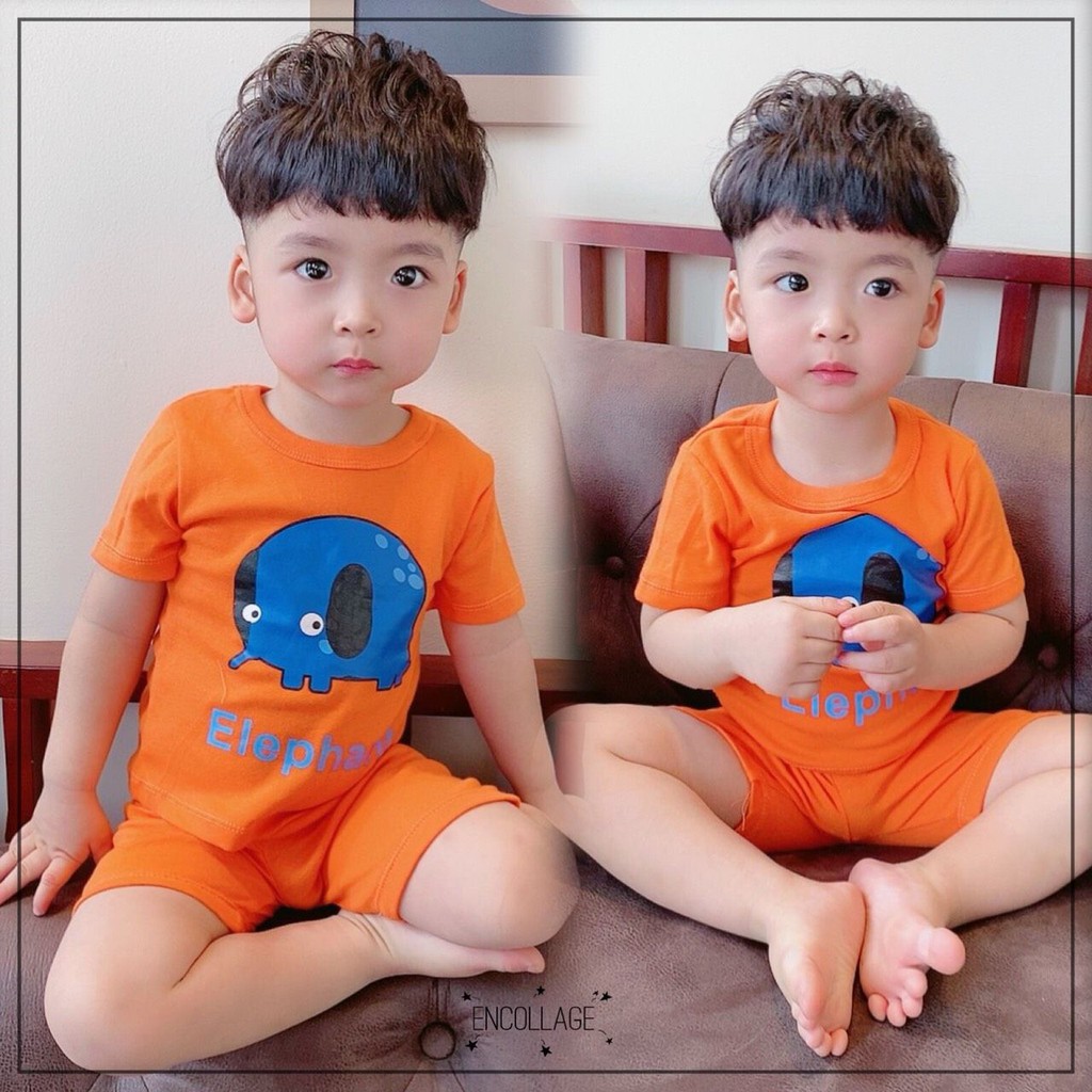 [DEAL HOT] Bộ cotton bozip in hình dễ thương BT BG