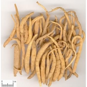 Sâm Thái Tử - Sâm Đất - 100gram