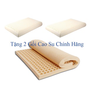 Nệm cao su vạn thành 1m6x2mx10 tặng 2 gối cao su