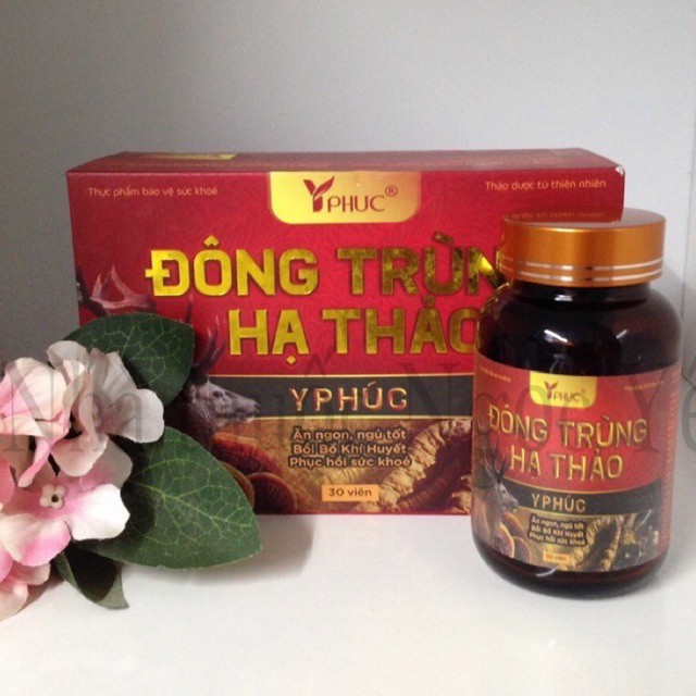 ✅(CHÍNH HÃNG) Đông trùng hạ thảo Y Phúc, bồi bổ sức khoẻ, tăng cường miễn dịch, giúp ăn ngon ngủ ngon