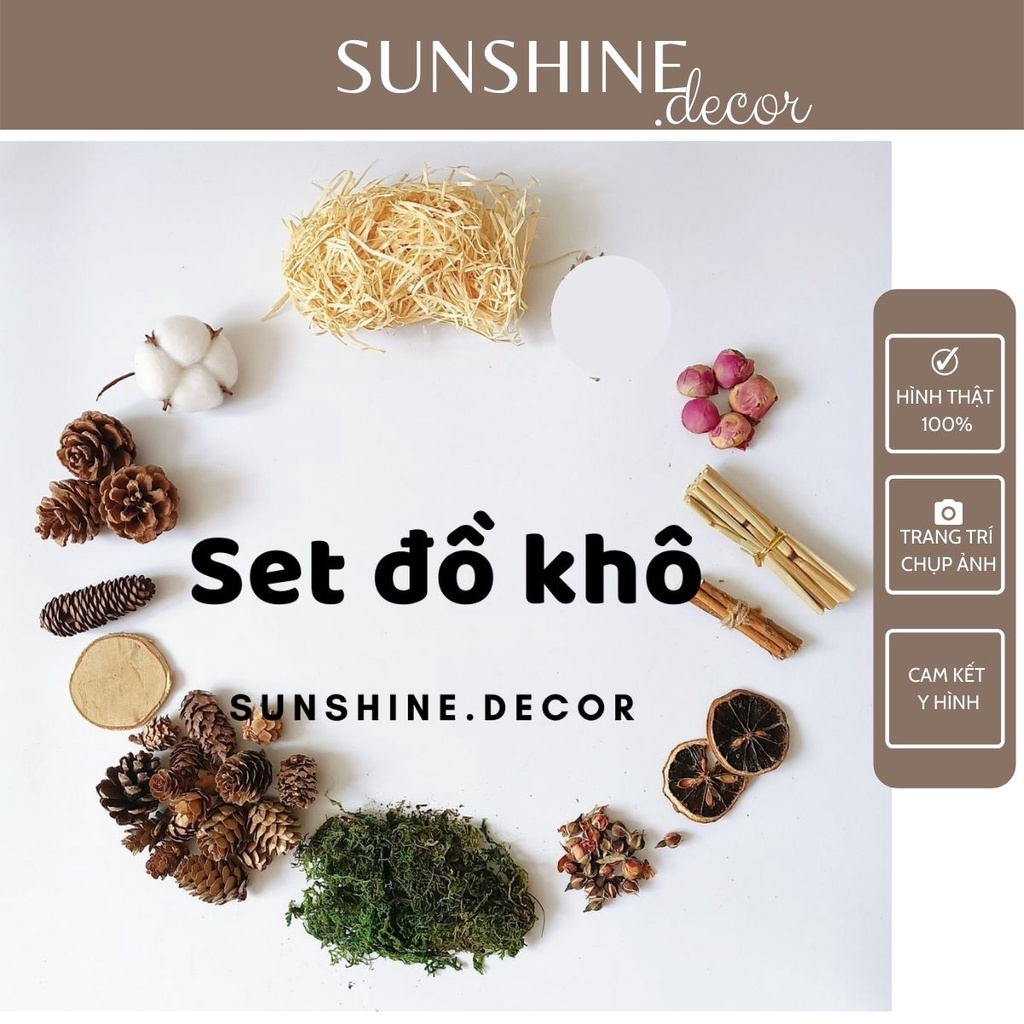 Set đồ khô 11 món decor trang trí chụp ảnh sản phẩm Vintage-Sunshine.decor