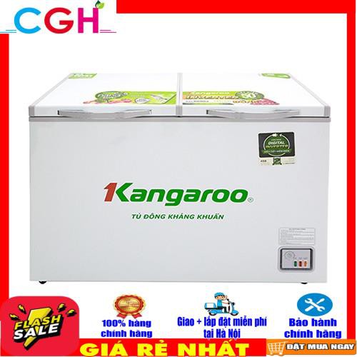 Tủ đông Kangaroo 252 Lít KG400NC2