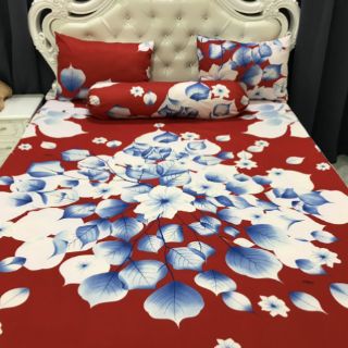 Drap thun hàn quốc