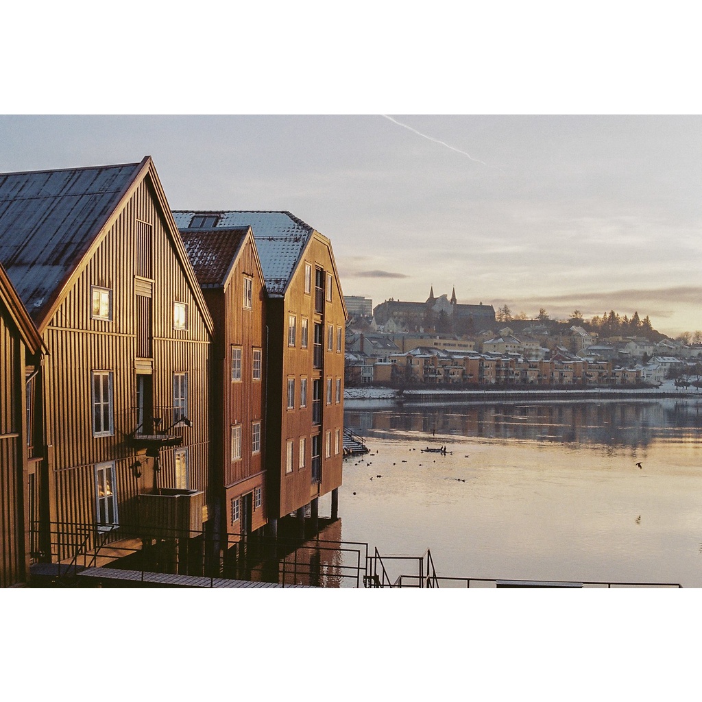 Phim Kodak Pro Image ISO 100, Màu Color, 135/35mm x 36 Kiểu, In Date Cho Máy Chụp Ảnh Film - LIIQ Flash