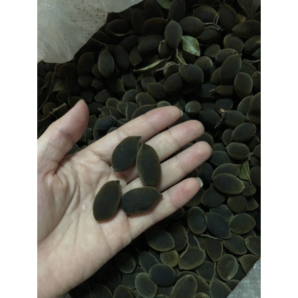 . xay trâu 1 trái 2-3 hạt .chín đều bao đẹp 50k/1kg