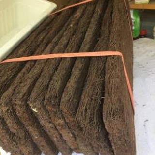 Dớn bảng trồng lan kích thước 60x20