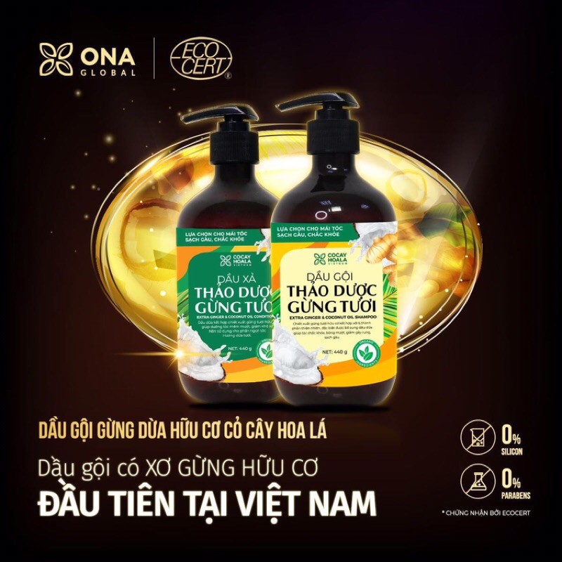 Combo gội + xả cặp dầu gội Thảo dược Gừng Dừa Hữu cơ cocayhoala 440ml