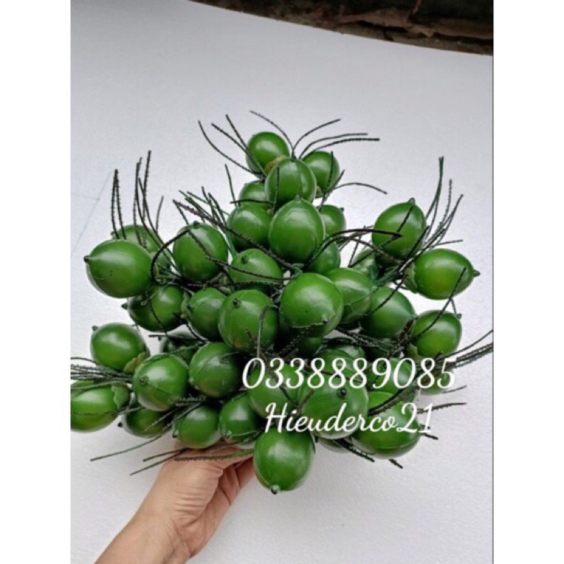 Buồng cau - buồng cau 50 quả ,hàng đẹp và có sẵn kho