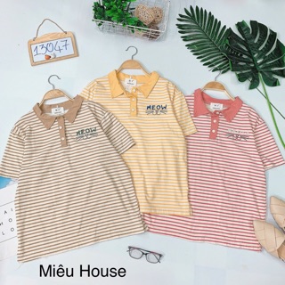 Áo thun kẻ sọc có cổ thêu cute