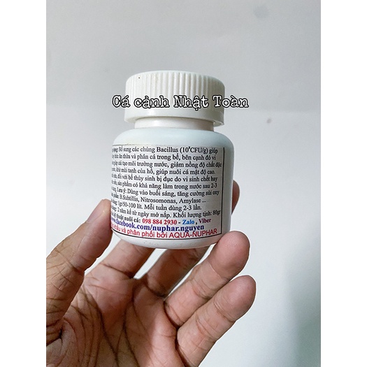 NUPHAR BACTER POWDER VI SINH TRONG NƯỚC KHỬ ĐỘC HỒ CÁ NON BỘ