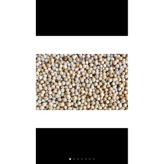 Tiêu trắng/tiêu sọ 500g