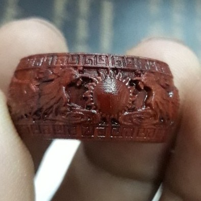 NHẪN GỖ, SỪNG