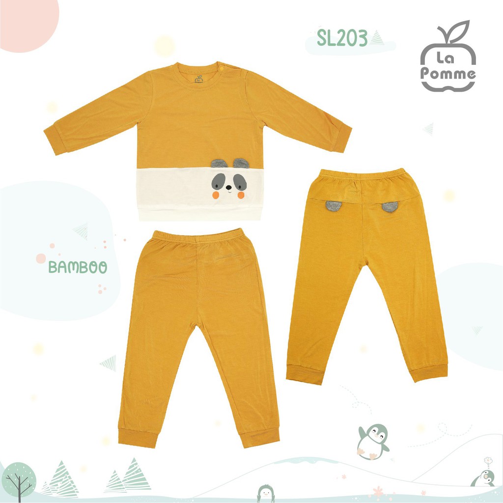 BỘ DÀI GẤU TRÚC