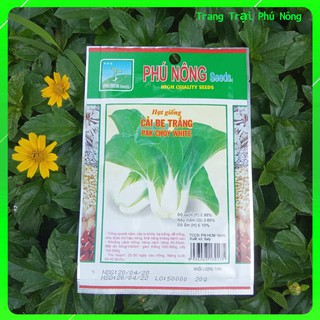 Hạt Giống Cải Bẹ Trắng Phú Nông - Gói 20g - Pak Choy White