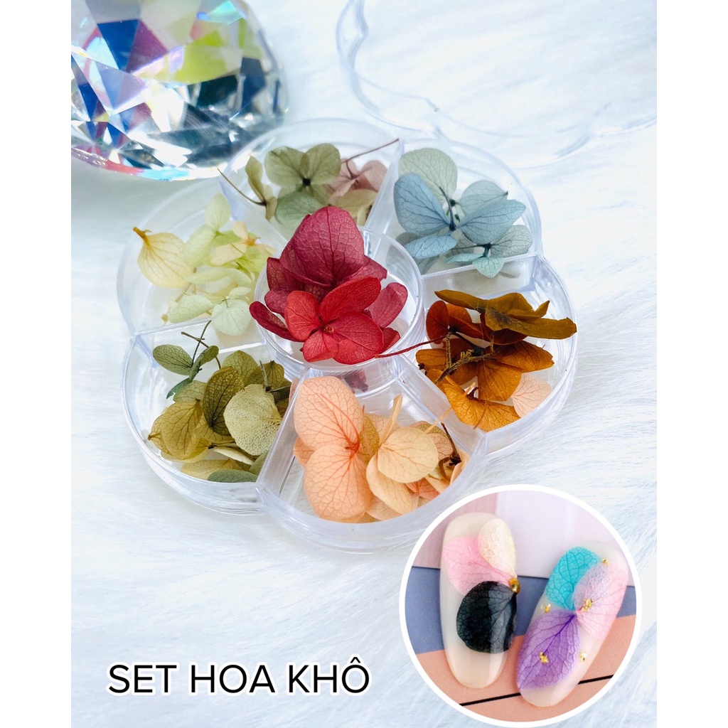 Set hoa khô 7 màu chuyên dùng trang trí móng - phụ kiện dành cho móng - Sushi nail mi