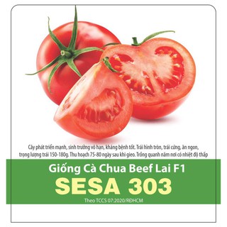 Hạt Giống Cà Chua Beef Lai F1 SeSA 303 Rạng Đông, Sinh TRưởng Vô Hạn, Kháng Bệnh Tốt, Trái 150-180g