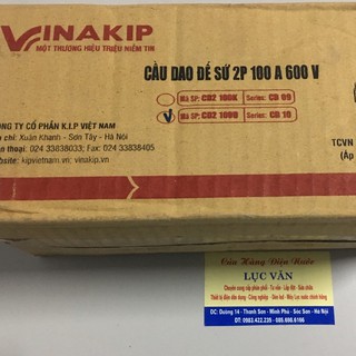 Cầu dao điện 2 pha 100A/600V - Vinakip