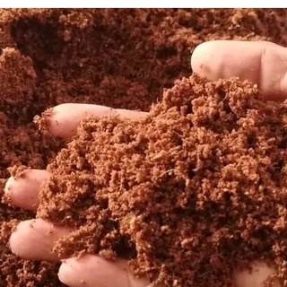 đất nén hữu cơ,đất nén sơ dừa,trồng rau,lan