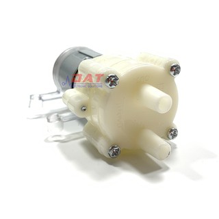 Động Cơ Bơm 12V - R365