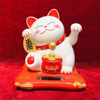 MÈO THẦN TÀI MAY MẮN