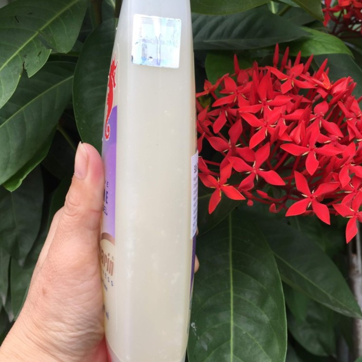 Sữa tắm Cá Ngựa | BigBuy360 - bigbuy360.vn