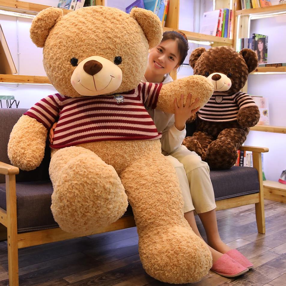 Gấu bông Teddy to màu vàng nâu cam mặc áo gối ôm thú nhồi bông chất liệu lông xù big size BUMBEAR SHOP