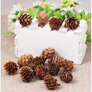 Quả thông khô phụ kiện trang trí A40 (KHÔNG KÈM DÂY TREO)