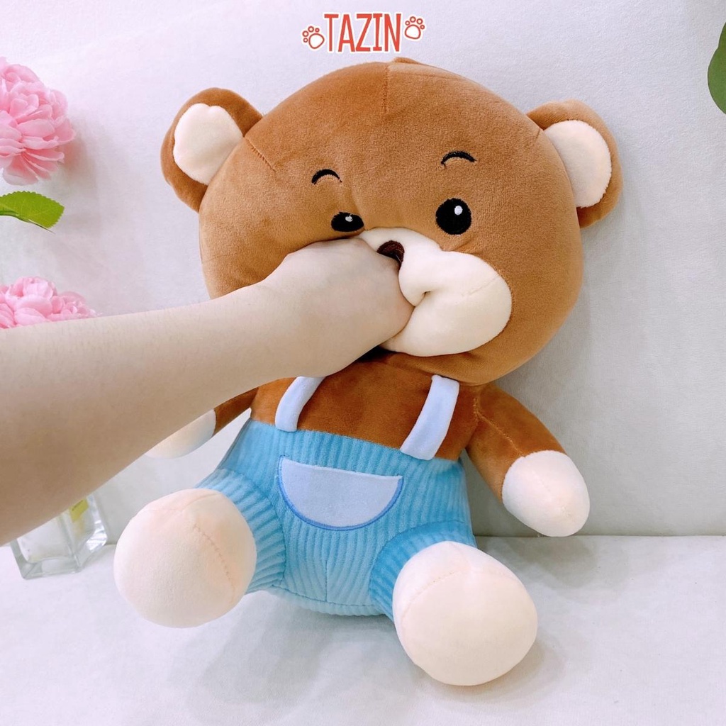 Gấu Bông Yếm Thêu Túi Cao Cấp, Gấu Ôm Dễ Thương Tazin