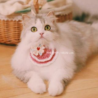 Yếm len handmade cho các pet cưng