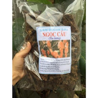 Nấm ngọc cẩu Sơn La (hàng chọn)