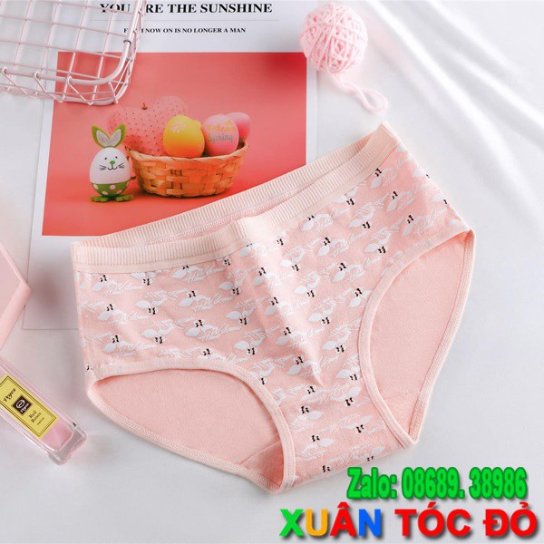 SỈ ZALO RẺ HƠN NHIỀU_ Quần Lót Thiên Nga Màu Hồng Mới 5067 | WebRaoVat - webraovat.net.vn