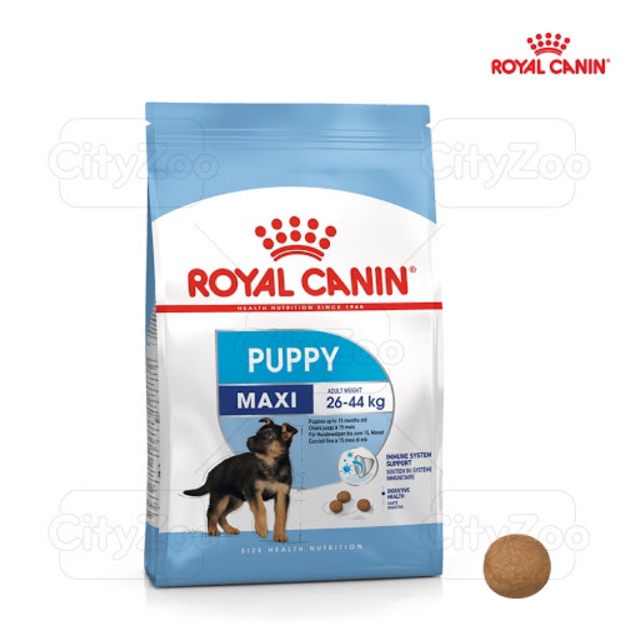 Royal Canin Maxi Puppy Thức ăn hạt cho giống chó lớn dưới 15 tháng tuổi