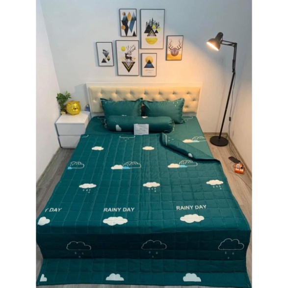 Chăn hè trần bông 3 lớp cotton poly hàng loại 1