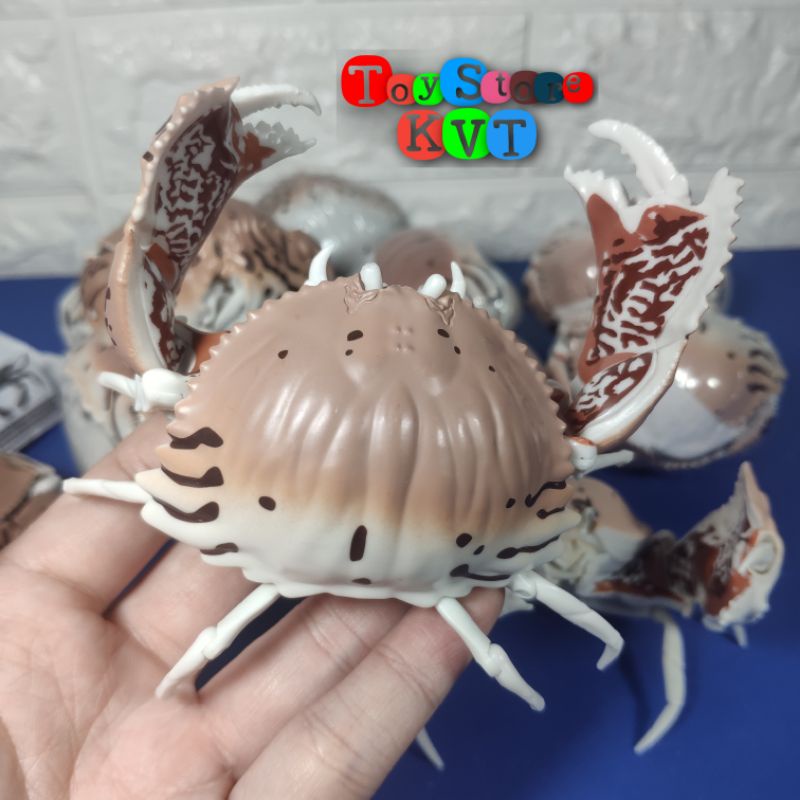 Mô Hình Gachapon Cua Hộp Sọc đỏ Red-streaked Box Crab (Dango Mushi 06 by Bandai)