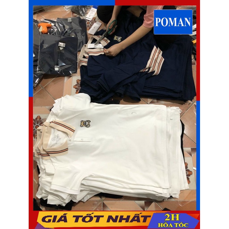 ÁO THUN NAM POLO IN GẤU-ÁO THUN NAM POLO CHẤT COTTON CO DÃN -POMAN