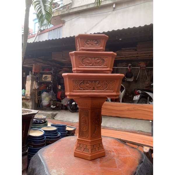 Chậu chữ nhật trồng cây bonsai và đôn kê chậu