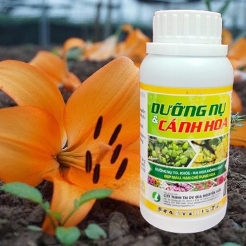 DƯỠNG NỤ CÁNH HOA chai 250ml, phân bón giúp kích nhiều nụ, dưỡng nụ to, hoa nở tươi lâu tàn