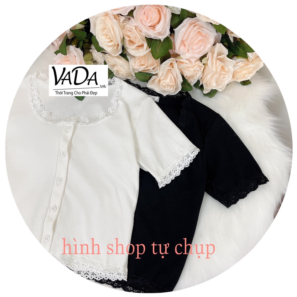 Áo Thun tay ngắn Viền ren chất thun Gân tăm dày dặn xinh đẹp  -Thời Trang VADA  (AT19)