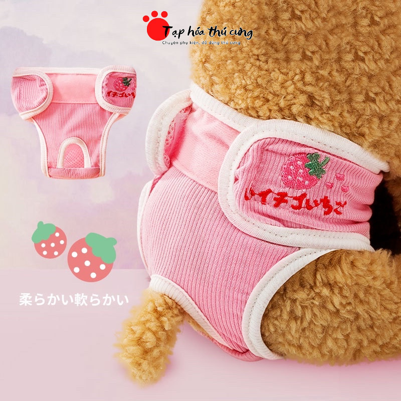 Quần chíp sinh lý cho chó mèo gái ngày rụng dâu quần chíp cho chó mèo thú cưng giá rẻ