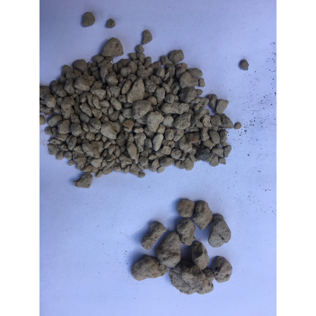 Đá Pumice (đá bọt núi lửa) (size 3-6mm ) 0.5kg trồng sen đá, xương rồng, ươm cây con - [ Sỉ Lẻ ]