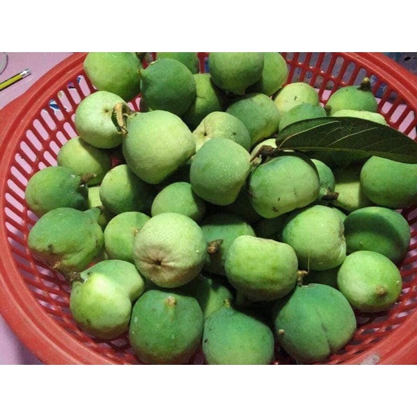 1kg Hạt mác púp - hạt thạch trắng - đặc sản Cao Bằng