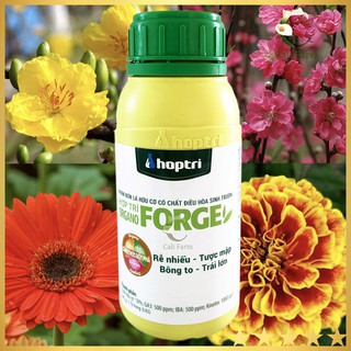 Phân bón lá Hợp Trí Organo Forge 500ml
