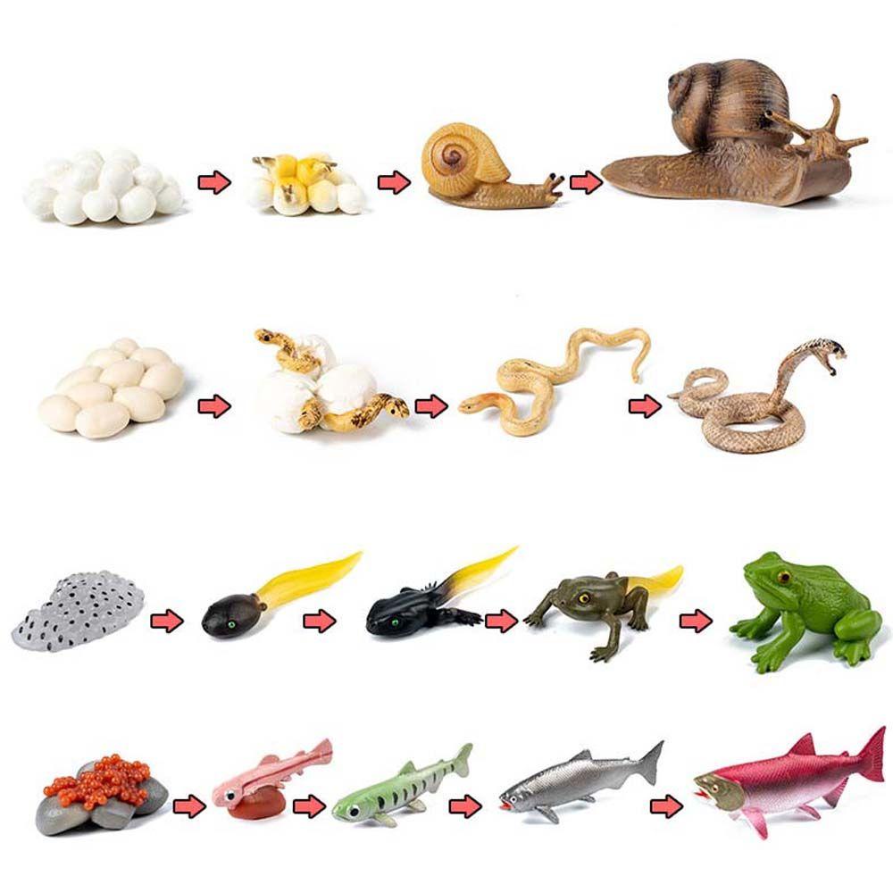 Bộ Đồ Chơi Giáo Dục Trẻ Em REBUY1 Gồm Cây / Động Vật / Cây Cối / Đồ Chơi Tăng Trưở