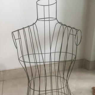 Thanh lí manacanh sắt nam