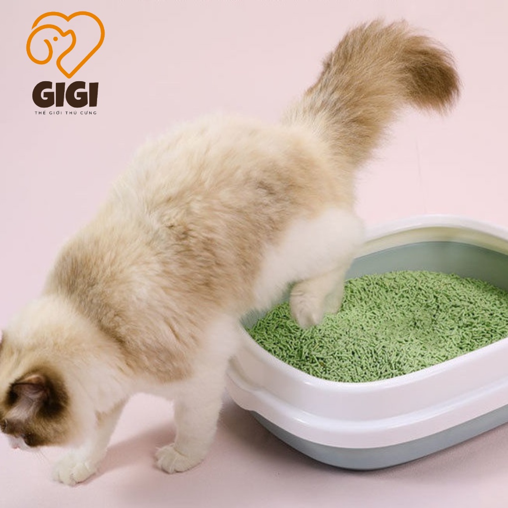 Khay chậu cát vệ sinh cho mèo size trung hình bầu dục nhựa cao cấp tặng kèm xẻng xúc cát - GiGi Pet Shop